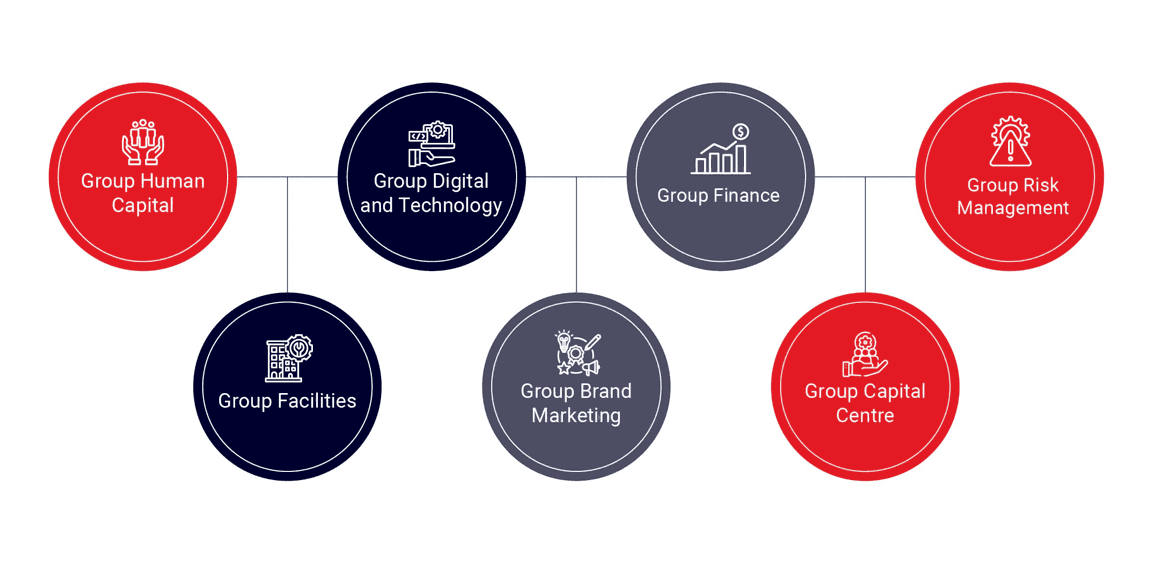 Infographic depicting Momentum Group&rsquo;s shared business capabilities.