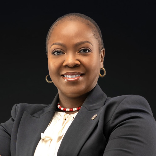 Mamello Phomane, Metropolitan Lesotho CEO